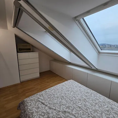 Hisa Pod Gozdom